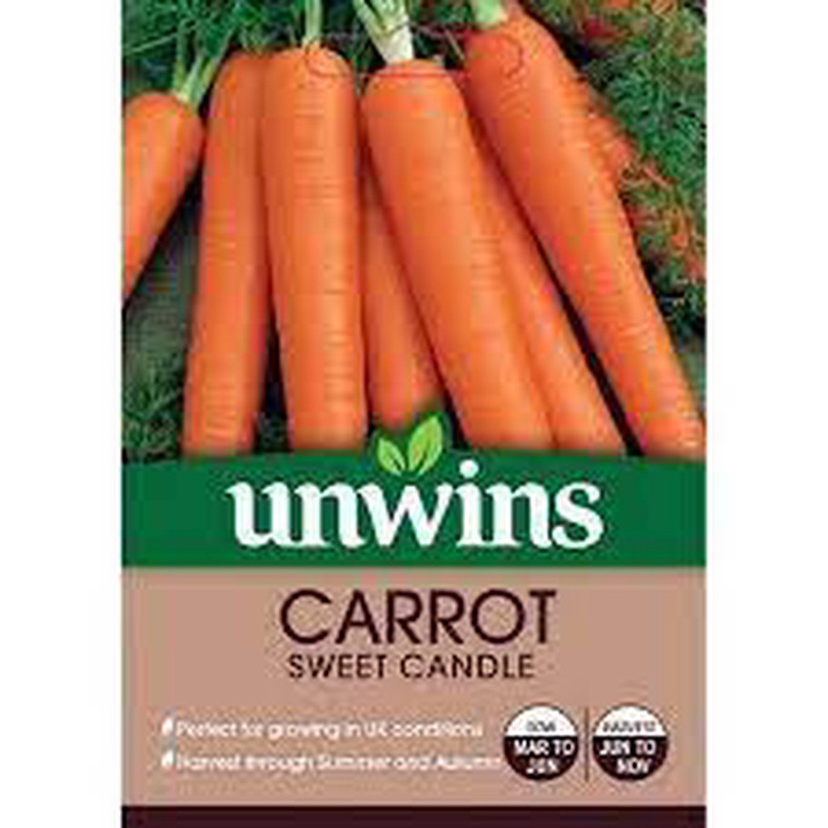 Carrot Sweet Candle