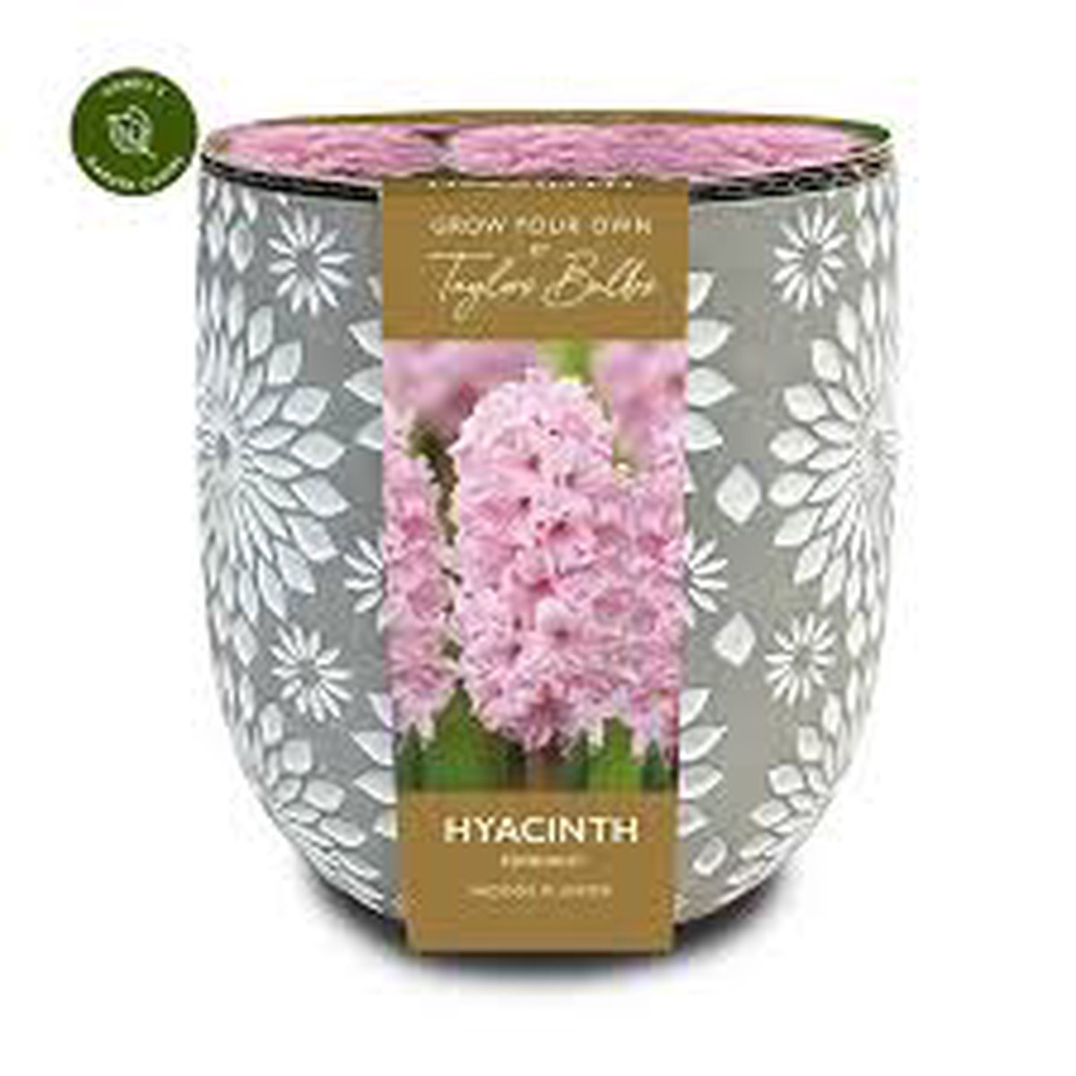 ENGRAVED STONE HYACINTH PLANTER 3