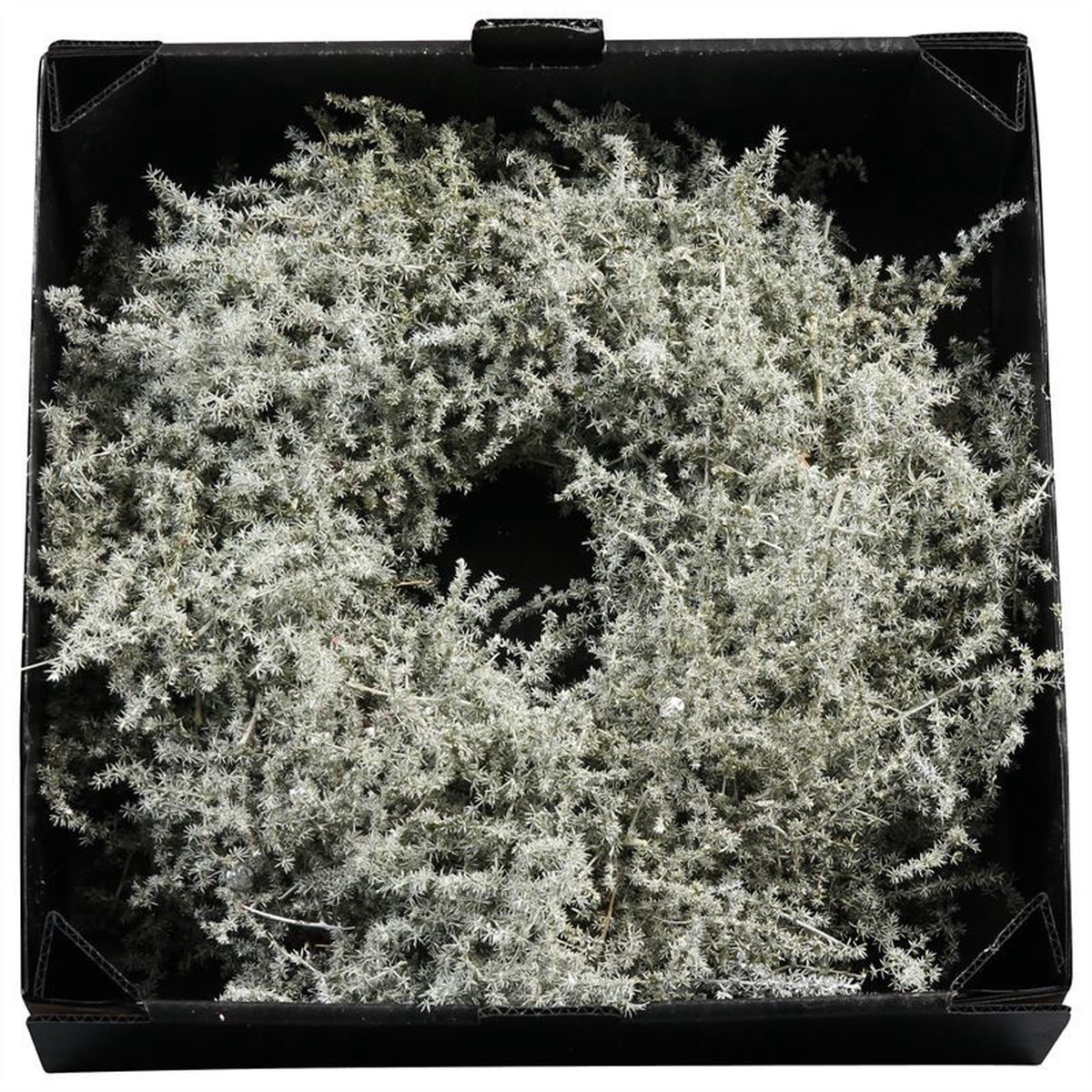 Wreath Asparagus D60cm Antique Oliv